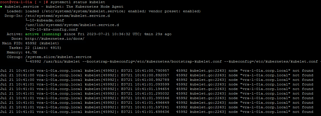 Kubelet service status with node not found logs
